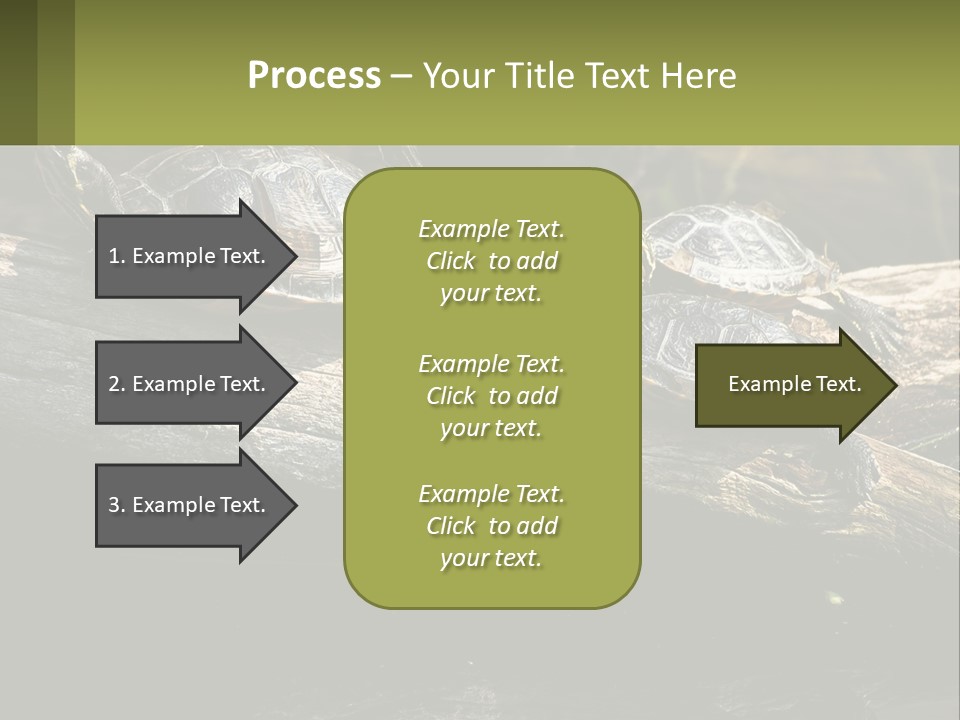 A Group Of Turtles Sitting On Top Of A Log PowerPoint Template