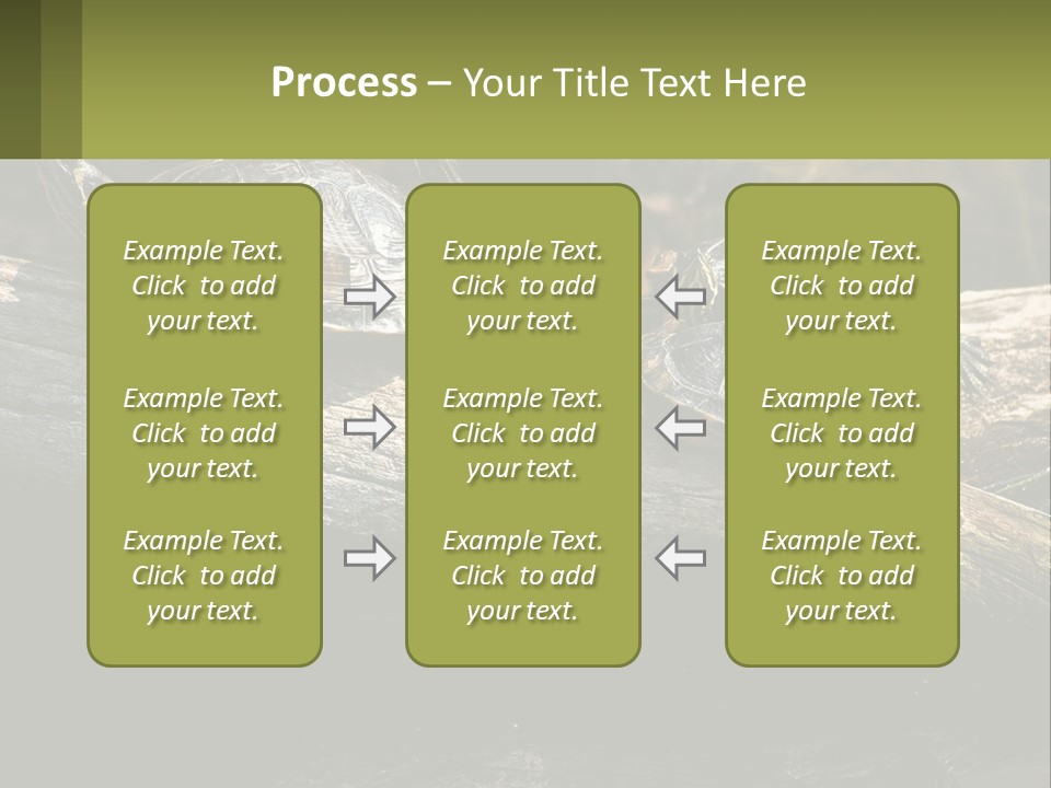 A Group Of Turtles Sitting On Top Of A Log PowerPoint Template