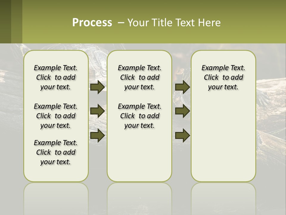A Group Of Turtles Sitting On Top Of A Log PowerPoint Template