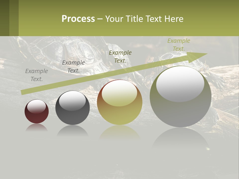 A Group Of Turtles Sitting On Top Of A Log PowerPoint Template