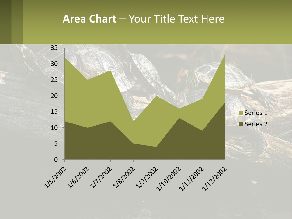 A Group Of Turtles Sitting On Top Of A Log PowerPoint Template