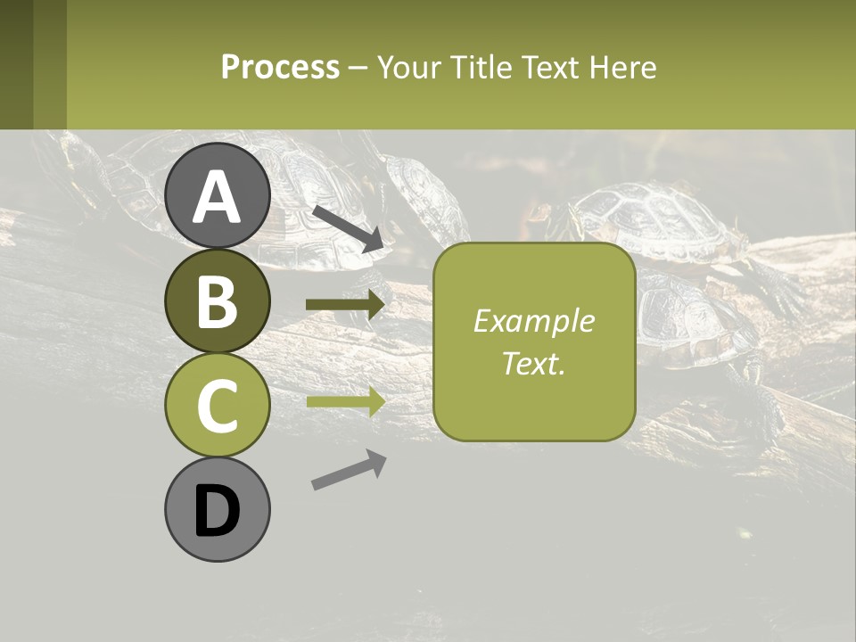 A Group Of Turtles Sitting On Top Of A Log PowerPoint Template