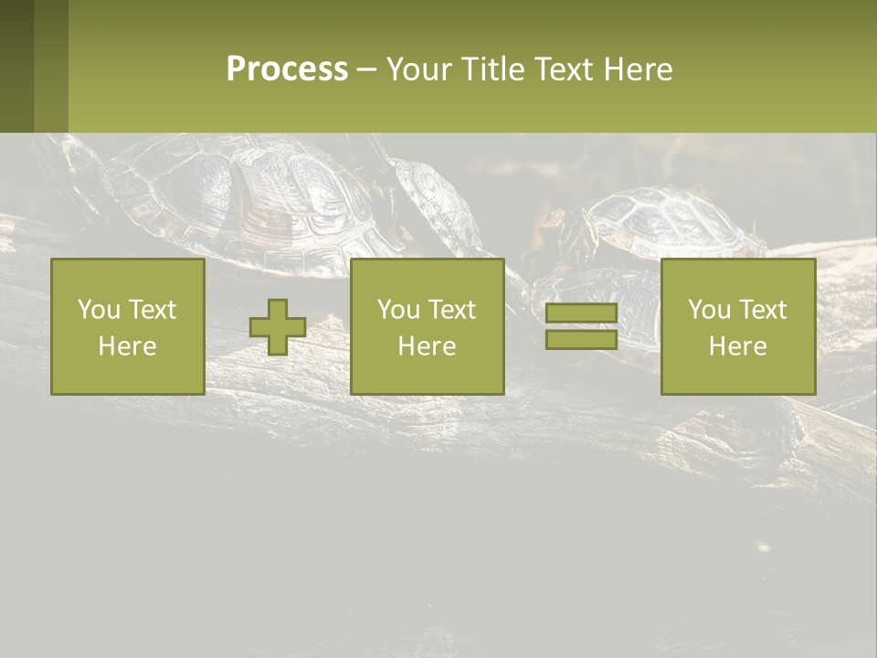 A Group Of Turtles Sitting On Top Of A Log PowerPoint Template