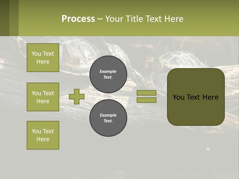 A Group Of Turtles Sitting On Top Of A Log PowerPoint Template