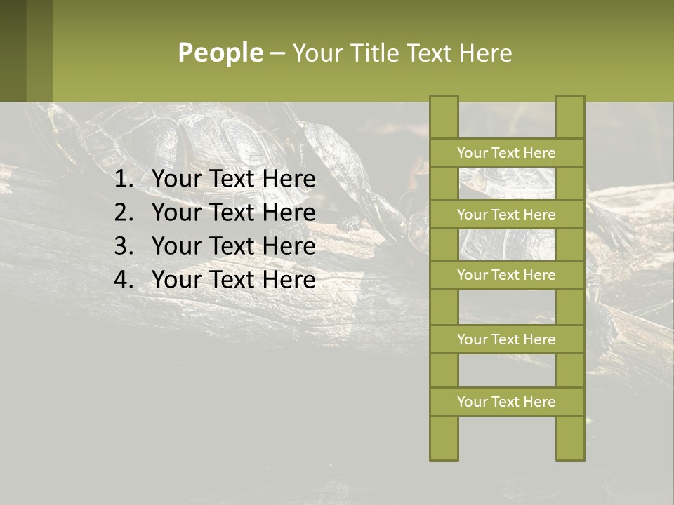 A Group Of Turtles Sitting On Top Of A Log PowerPoint Template