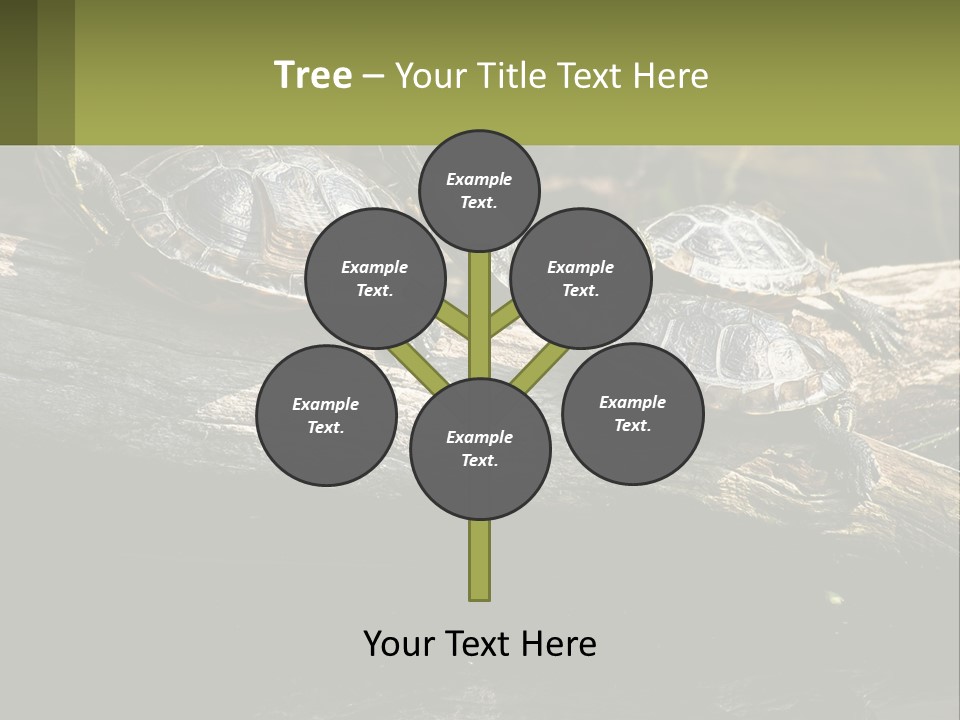 A Group Of Turtles Sitting On Top Of A Log PowerPoint Template