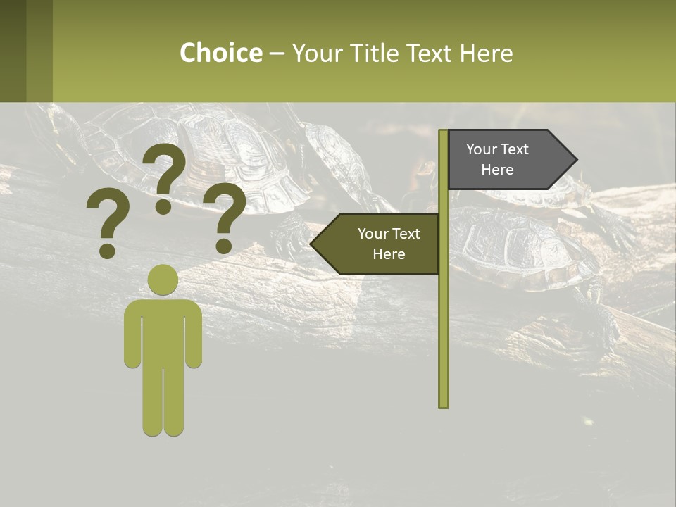 A Group Of Turtles Sitting On Top Of A Log PowerPoint Template