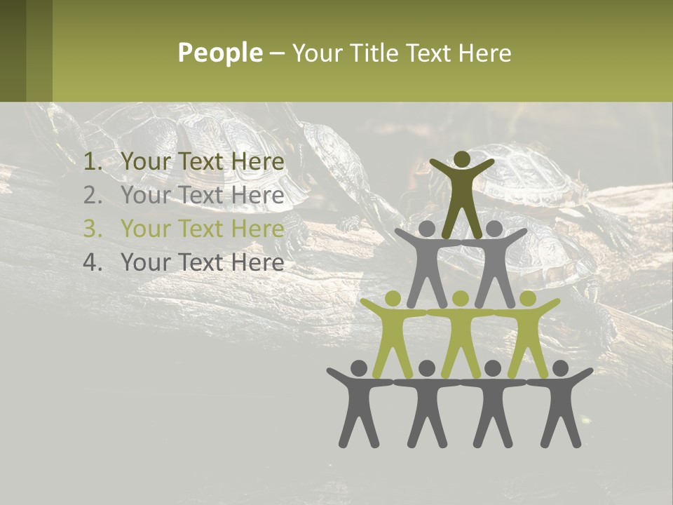 A Group Of Turtles Sitting On Top Of A Log PowerPoint Template