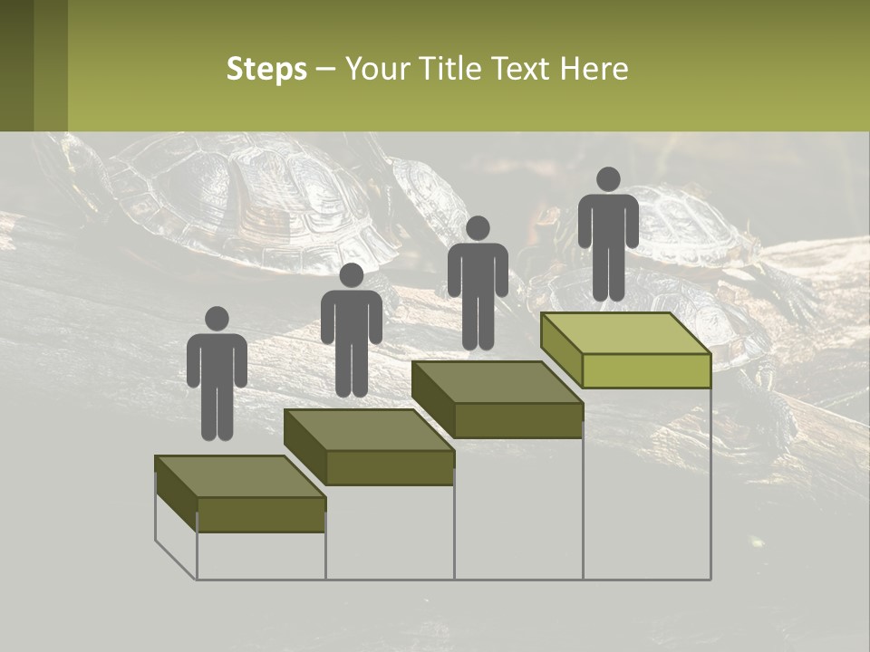 A Group Of Turtles Sitting On Top Of A Log PowerPoint Template