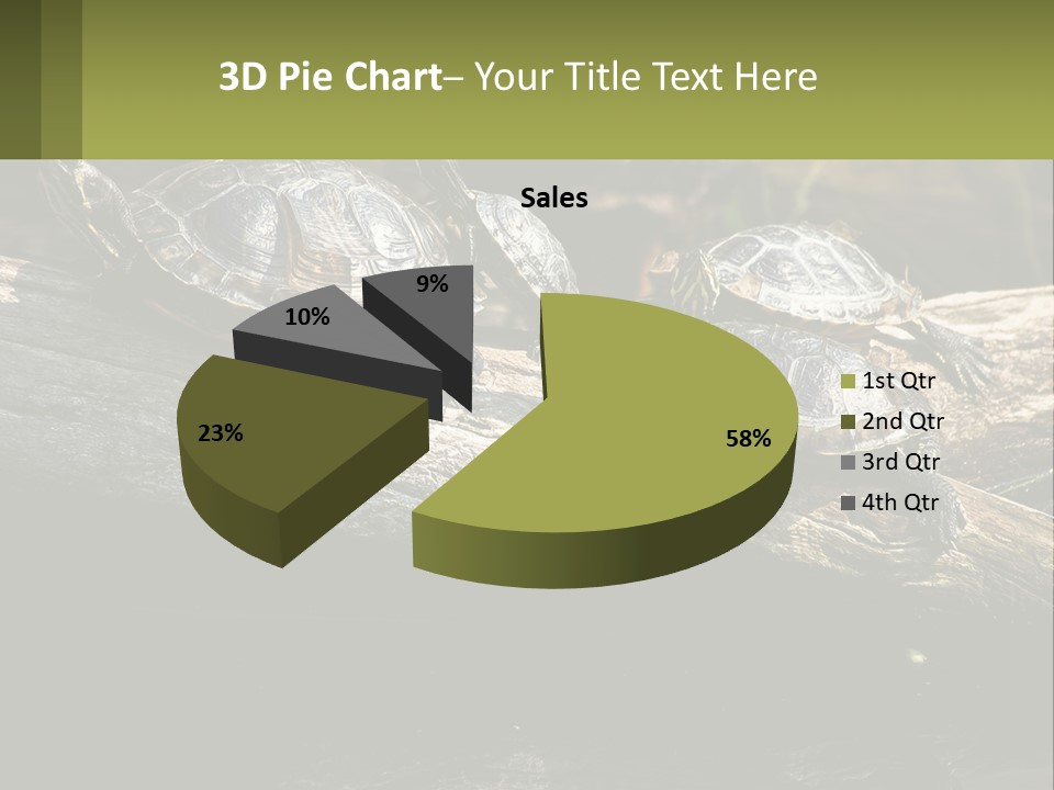 A Group Of Turtles Sitting On Top Of A Log PowerPoint Template
