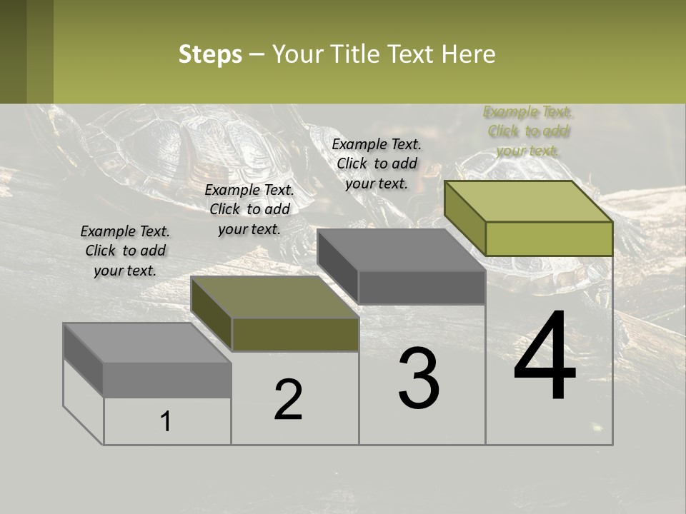 A Group Of Turtles Sitting On Top Of A Log PowerPoint Template