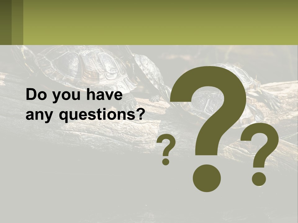 A Group Of Turtles Sitting On Top Of A Log PowerPoint Template