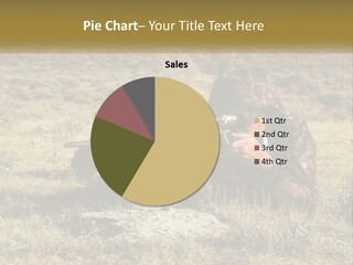 A Man With A Rifle In A Field PowerPoint Template