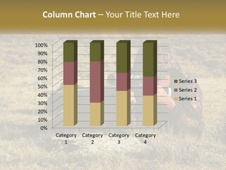 A Man With A Rifle In A Field PowerPoint Template