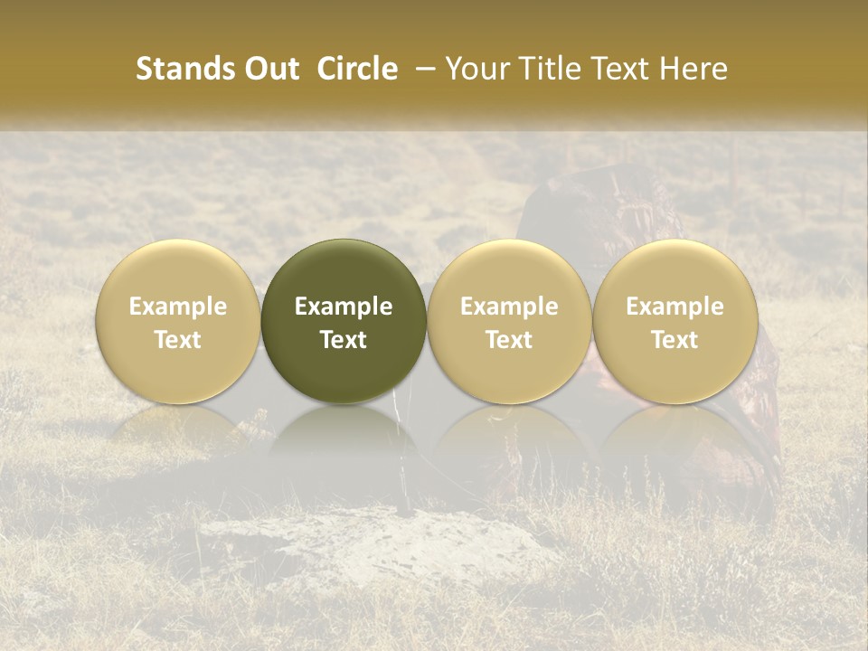 A Man With A Rifle In A Field PowerPoint Template
