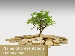 A Tree On Top Of A Pile Of Coins PowerPoint Template