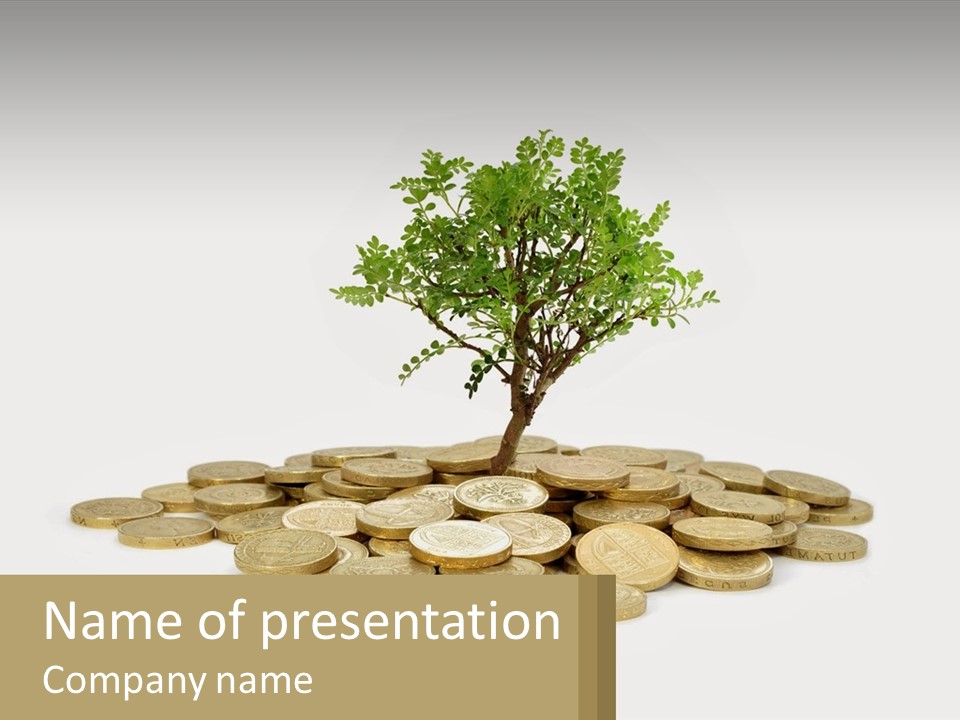 A Tree On Top Of A Pile Of Coins PowerPoint Template