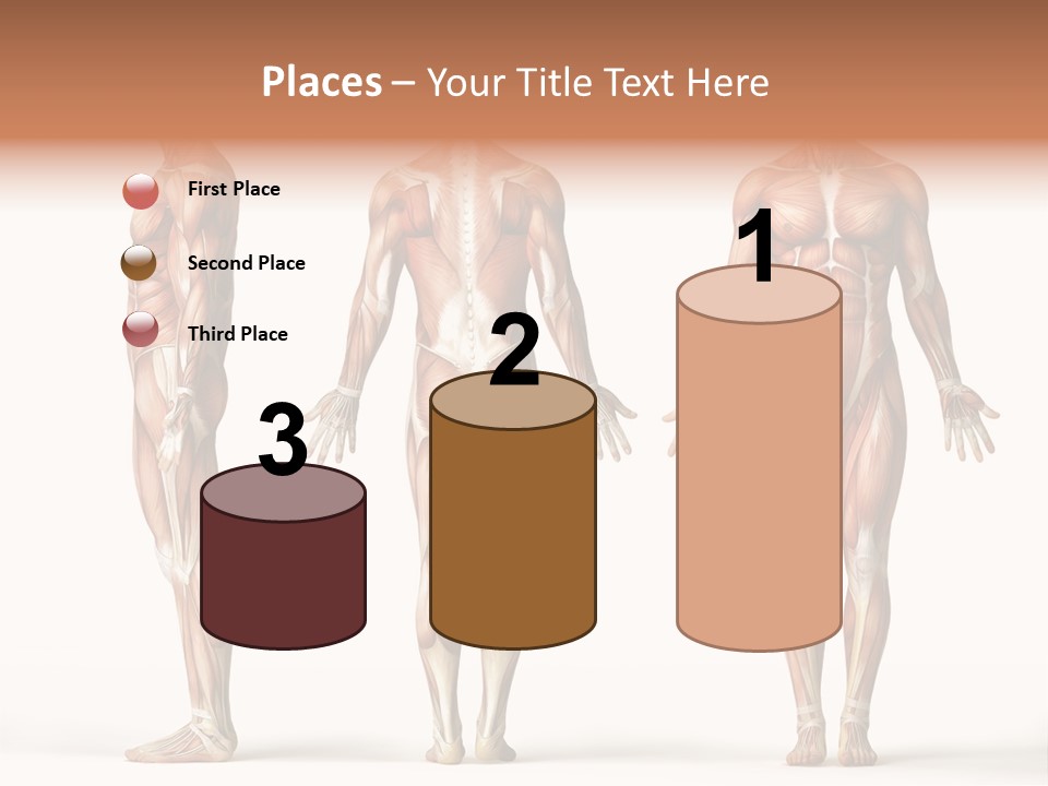 The Muscles Of A Man Are Shown In Three Different Views PowerPoint Template