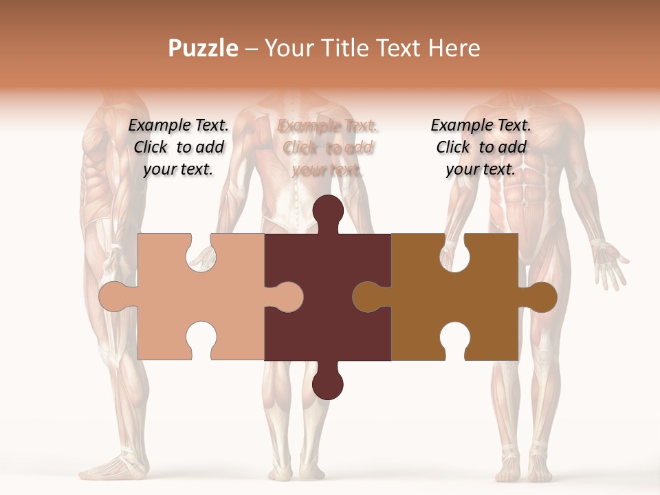 The Muscles Of A Man Are Shown In Three Different Views PowerPoint Template