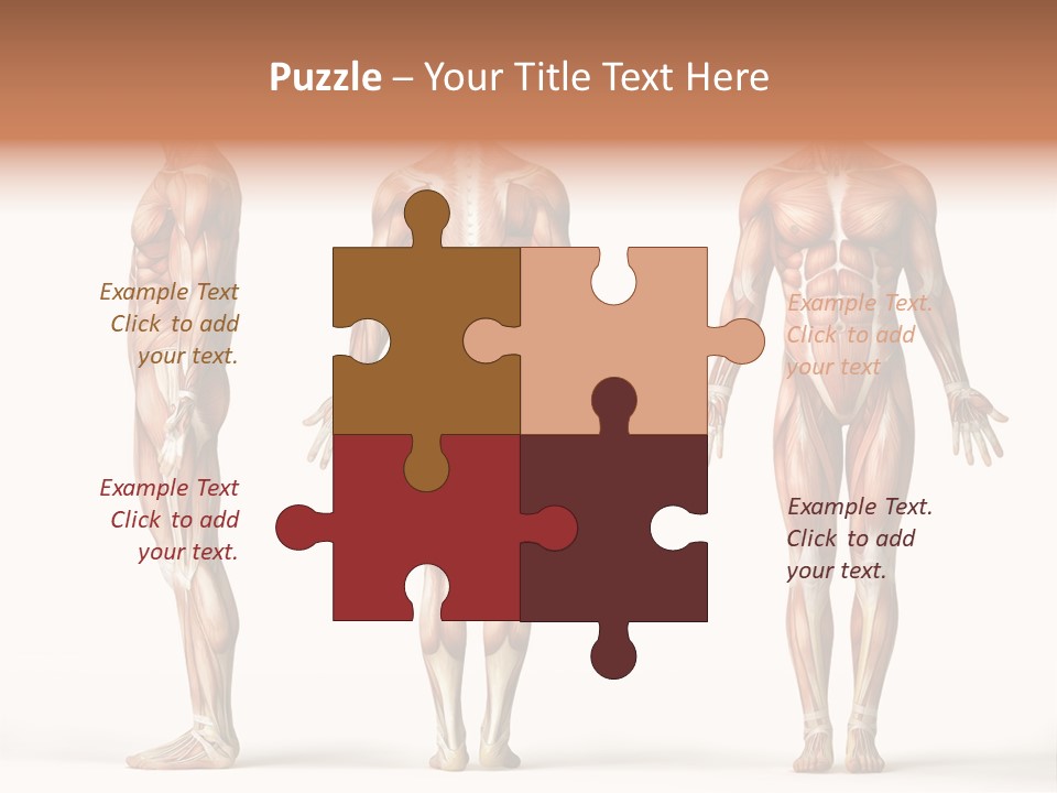 The Muscles Of A Man Are Shown In Three Different Views PowerPoint Template