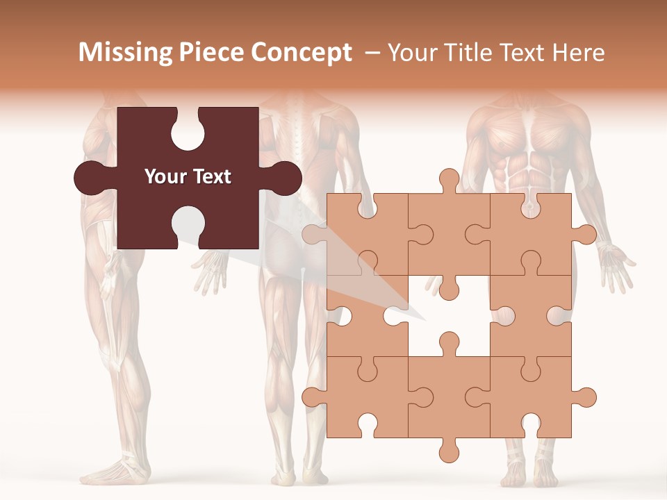 The Muscles Of A Man Are Shown In Three Different Views PowerPoint Template