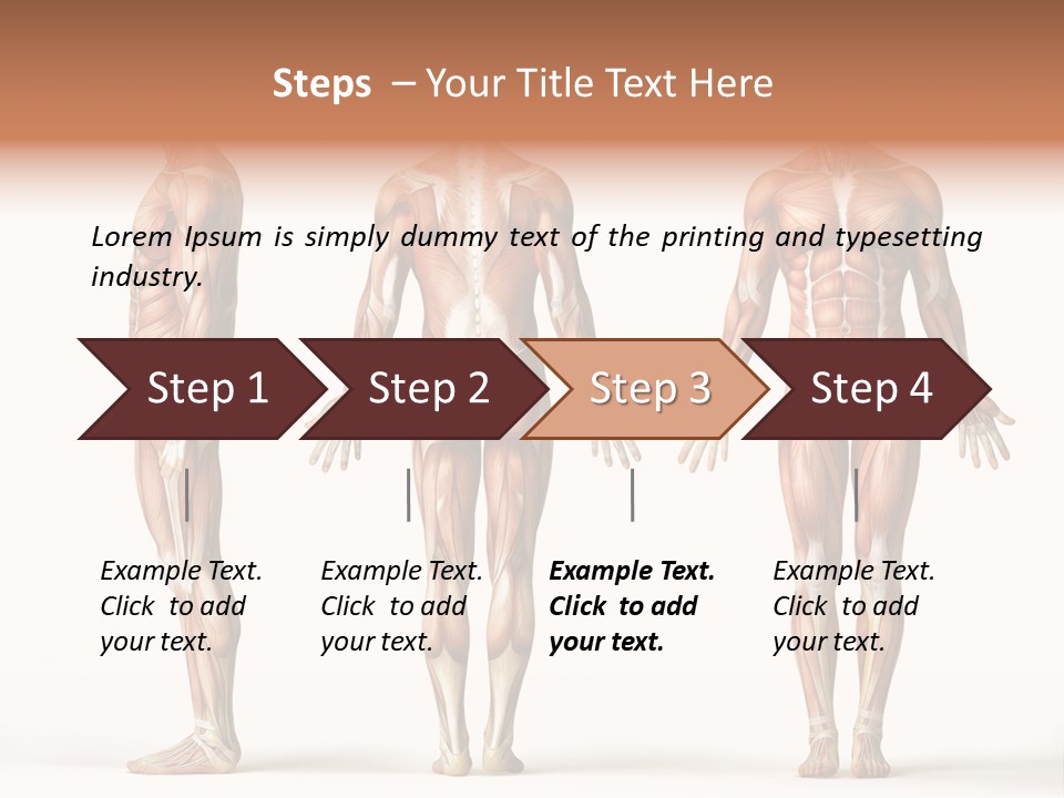 The Muscles Of A Man Are Shown In Three Different Views PowerPoint Template