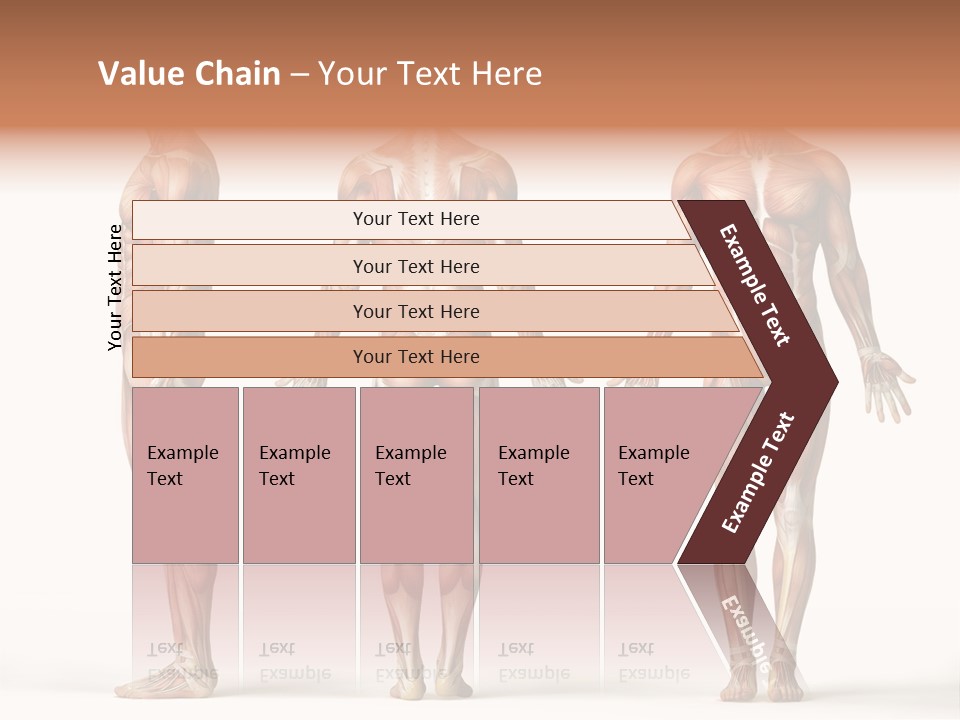 The Muscles Of A Man Are Shown In Three Different Views PowerPoint Template
