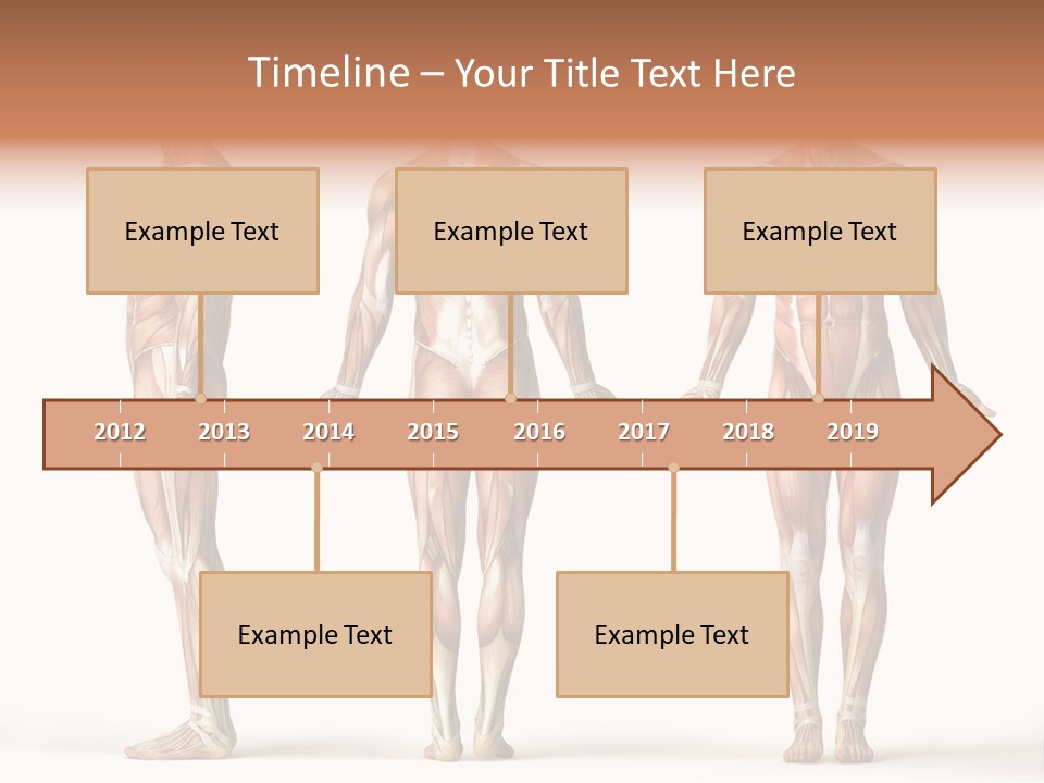 The Muscles Of A Man Are Shown In Three Different Views PowerPoint Template