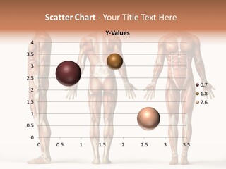 The Muscles Of A Man Are Shown In Three Different Views PowerPoint Template