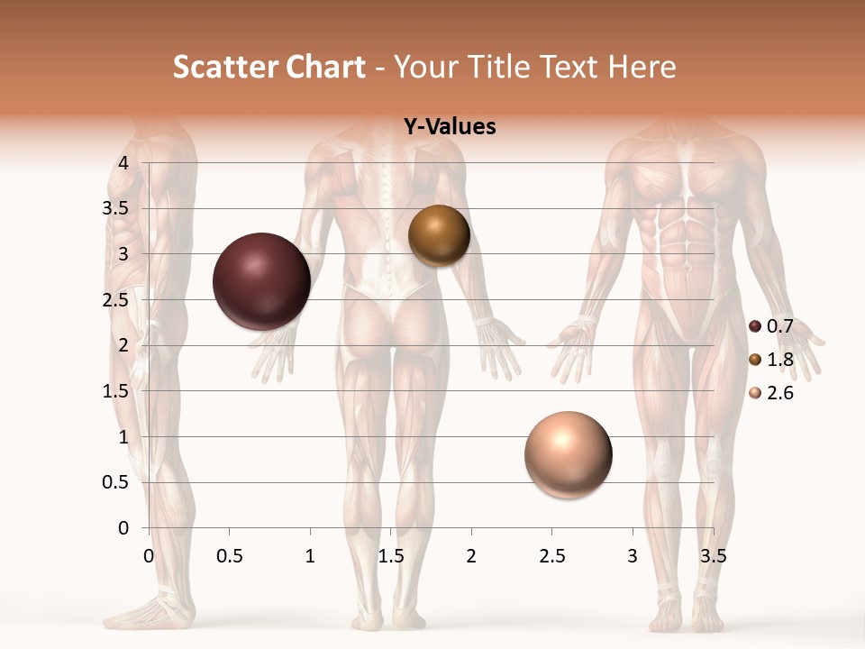 The Muscles Of A Man Are Shown In Three Different Views PowerPoint Template