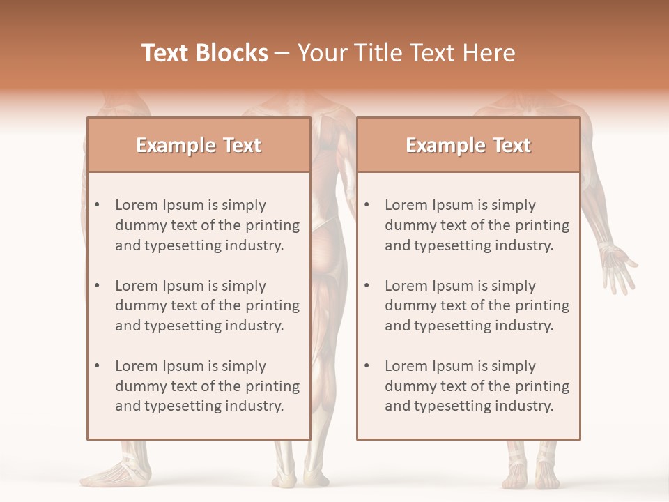 The Muscles Of A Man Are Shown In Three Different Views PowerPoint Template
