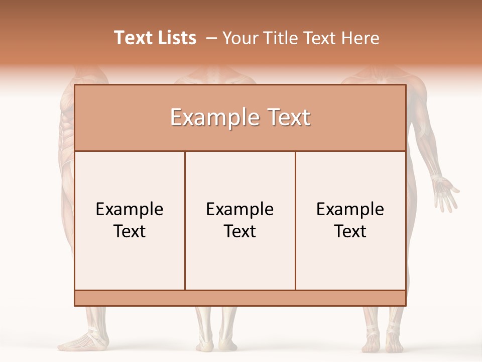 The Muscles Of A Man Are Shown In Three Different Views PowerPoint Template