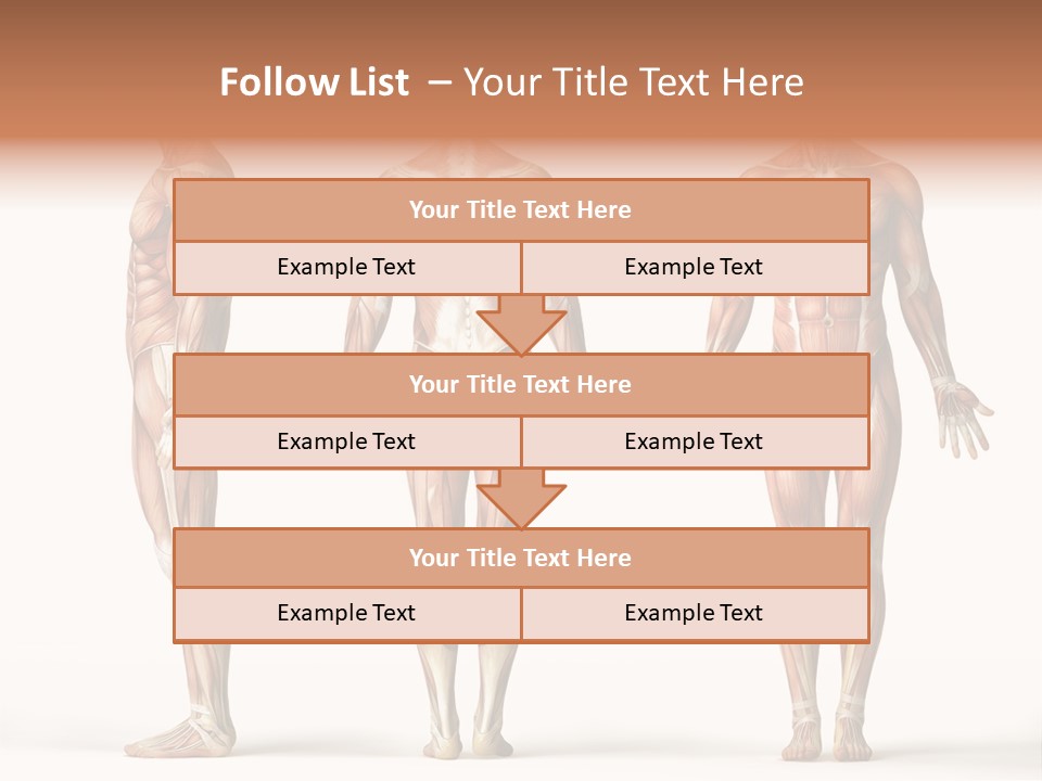 The Muscles Of A Man Are Shown In Three Different Views PowerPoint Template