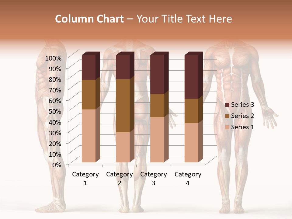 The Muscles Of A Man Are Shown In Three Different Views PowerPoint Template