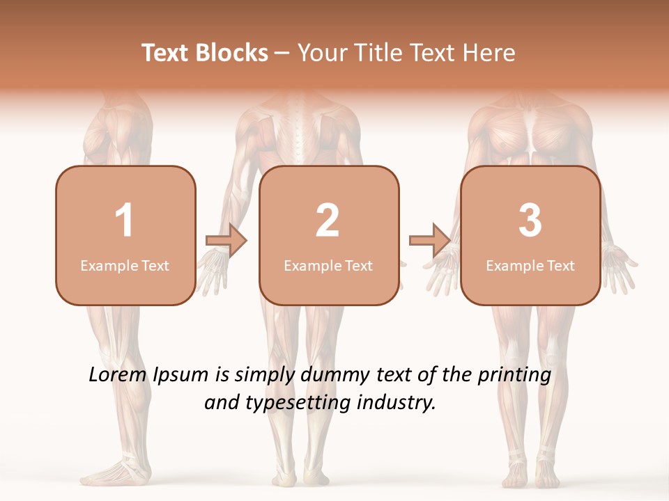 The Muscles Of A Man Are Shown In Three Different Views PowerPoint Template