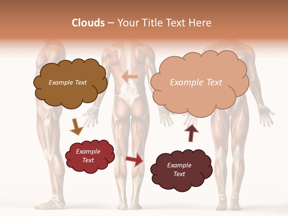 The Muscles Of A Man Are Shown In Three Different Views PowerPoint Template