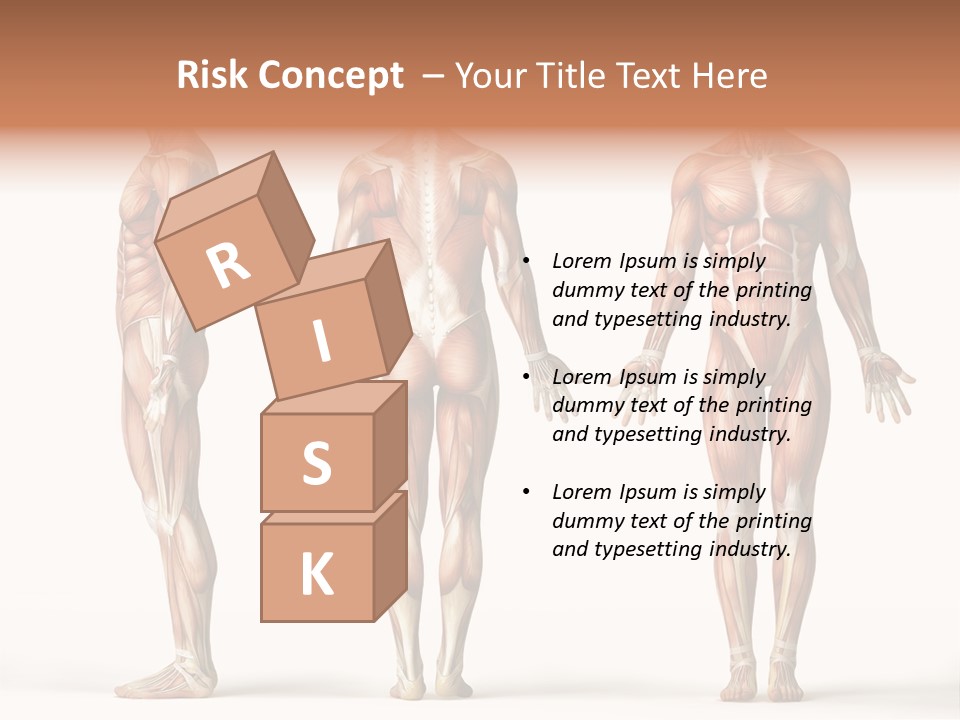 The Muscles Of A Man Are Shown In Three Different Views PowerPoint Template