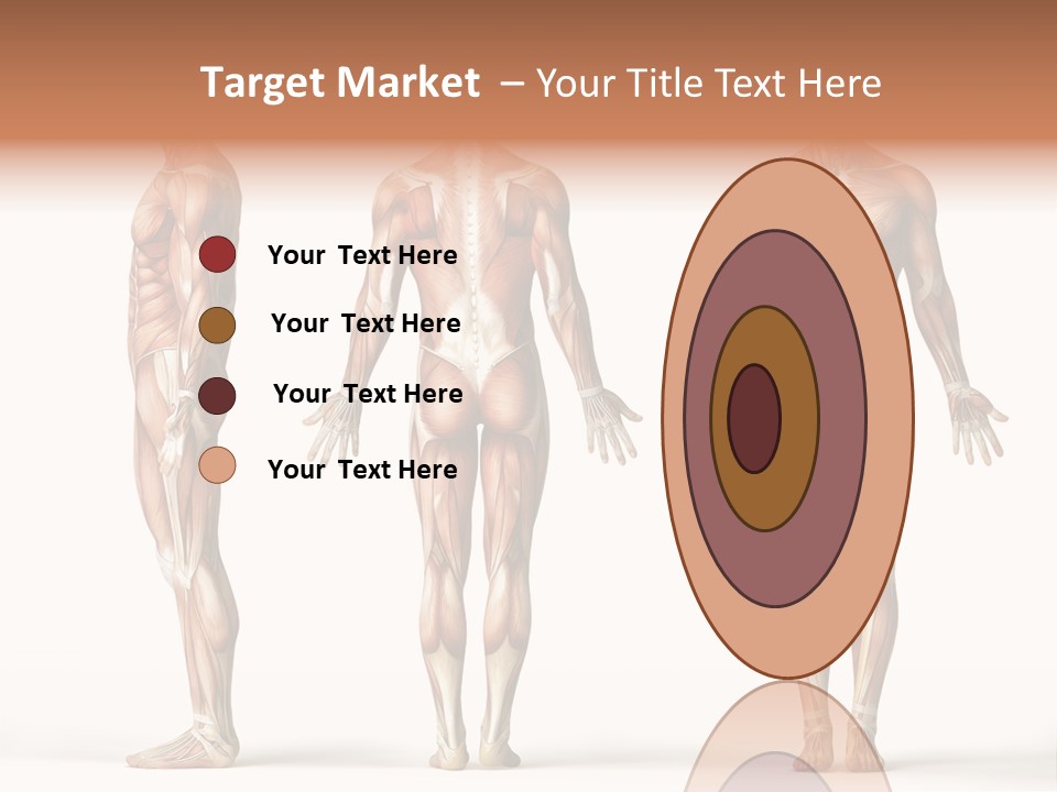 The Muscles Of A Man Are Shown In Three Different Views PowerPoint Template