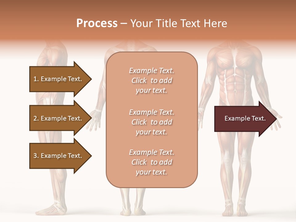 The Muscles Of A Man Are Shown In Three Different Views PowerPoint Template