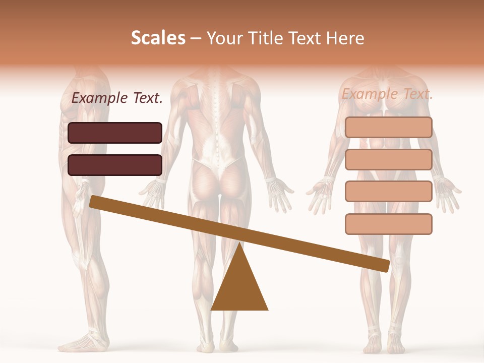 The Muscles Of A Man Are Shown In Three Different Views PowerPoint Template