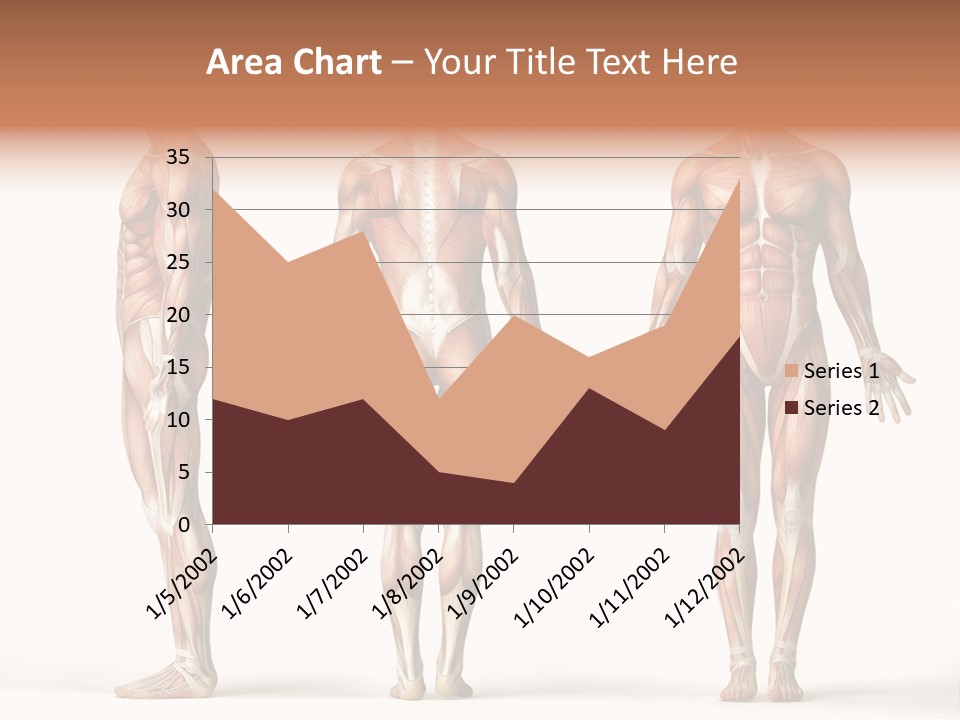 The Muscles Of A Man Are Shown In Three Different Views PowerPoint Template