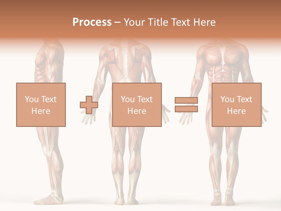 The Muscles Of A Man Are Shown In Three Different Views PowerPoint Template