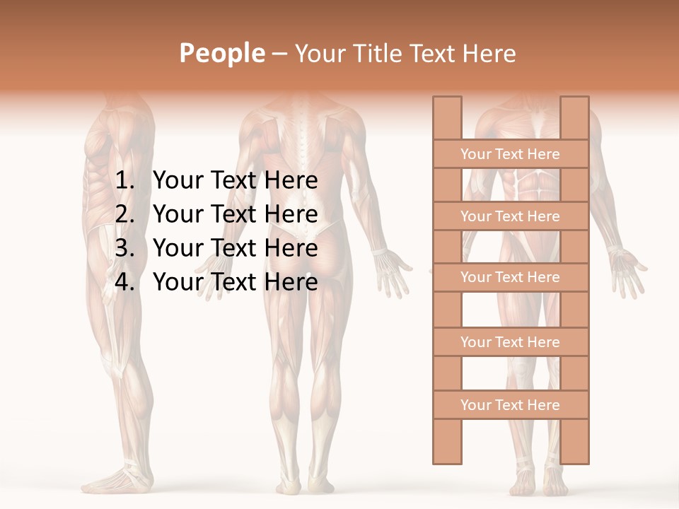 The Muscles Of A Man Are Shown In Three Different Views PowerPoint Template