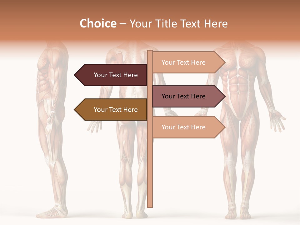 The Muscles Of A Man Are Shown In Three Different Views PowerPoint Template