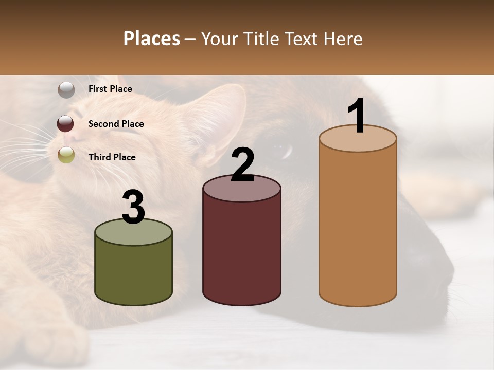 A Dog And A Cat Laying Next To Each Other PowerPoint Template