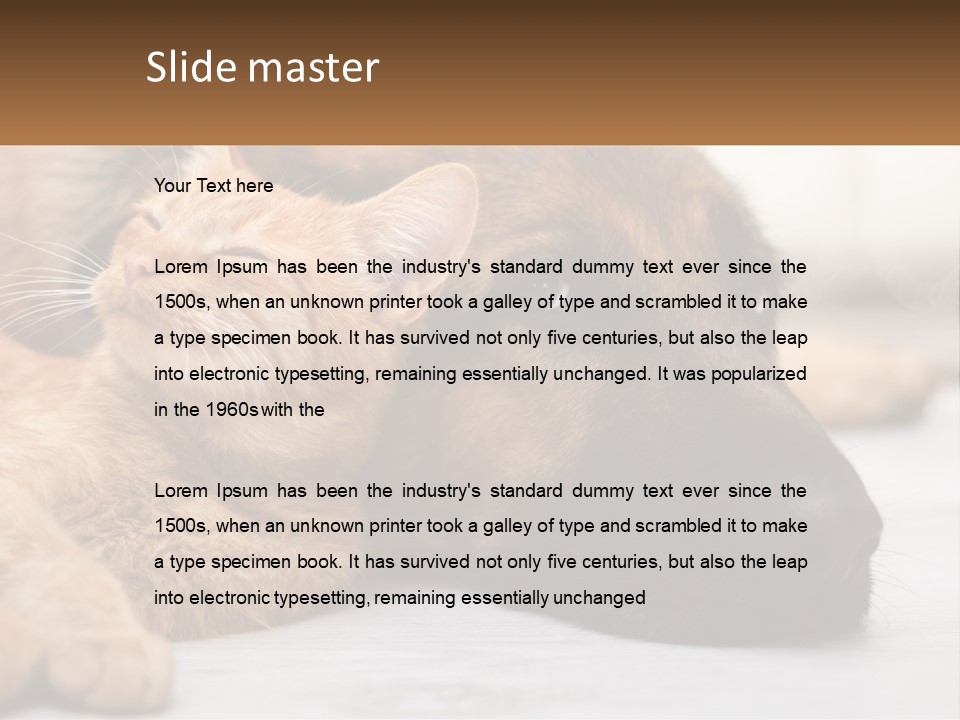 A Dog And A Cat Laying Next To Each Other PowerPoint Template