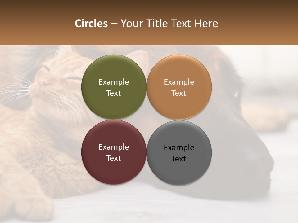 A Dog And A Cat Laying Next To Each Other PowerPoint Template