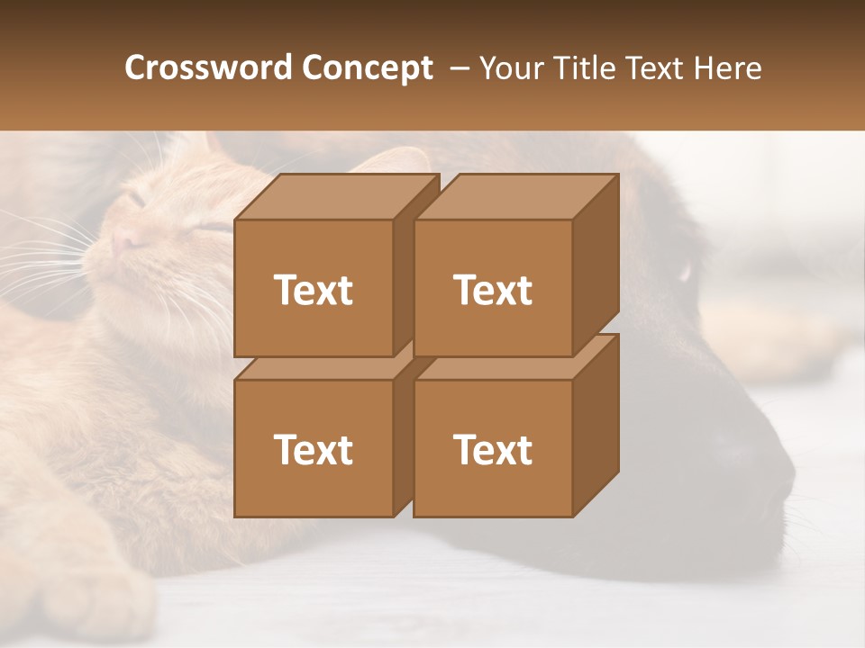 A Dog And A Cat Laying Next To Each Other PowerPoint Template