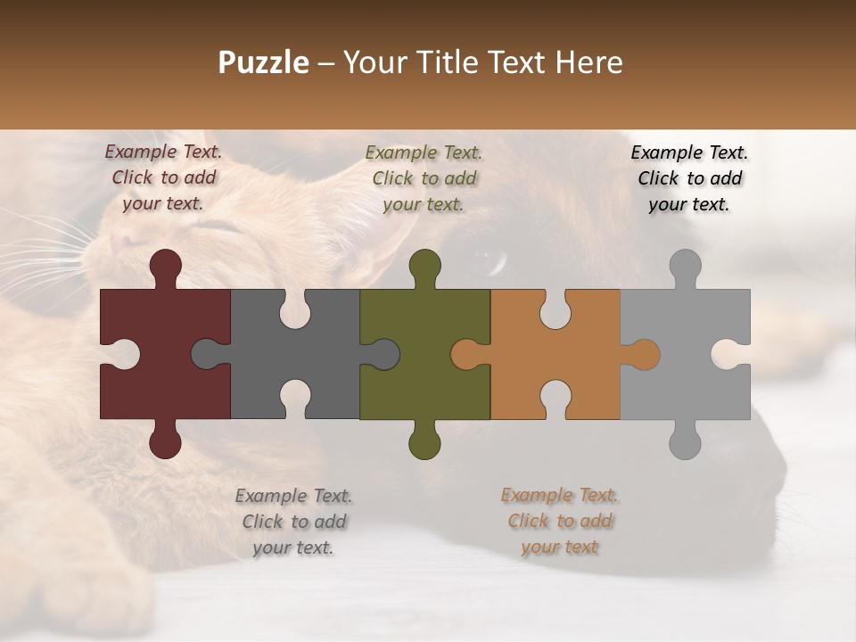 A Dog And A Cat Laying Next To Each Other PowerPoint Template
