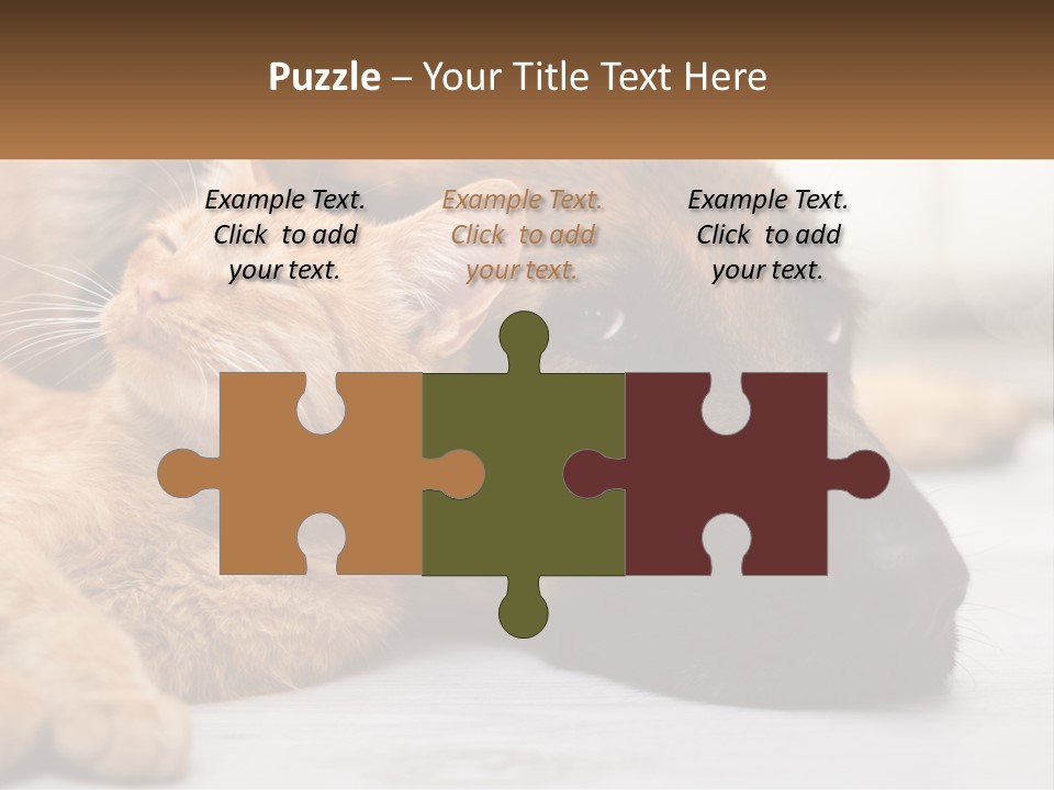 A Dog And A Cat Laying Next To Each Other PowerPoint Template